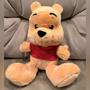 Disney Parks Winnie the Pooh